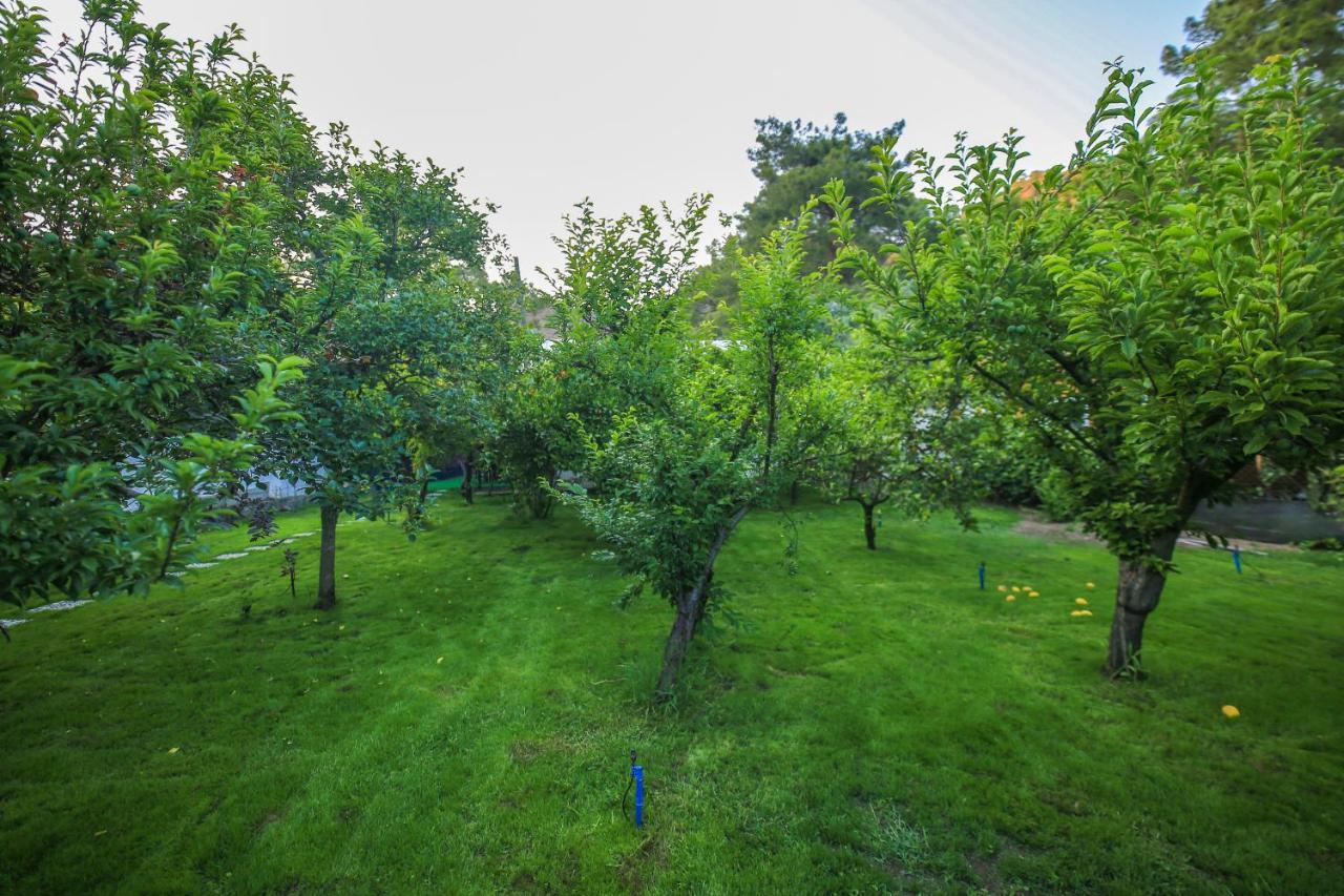 Çıralı Seker Bungalov 아파트 외부 사진