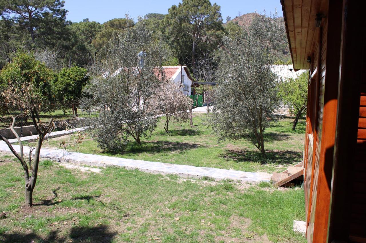 Çıralı Seker Bungalov 아파트 외부 사진