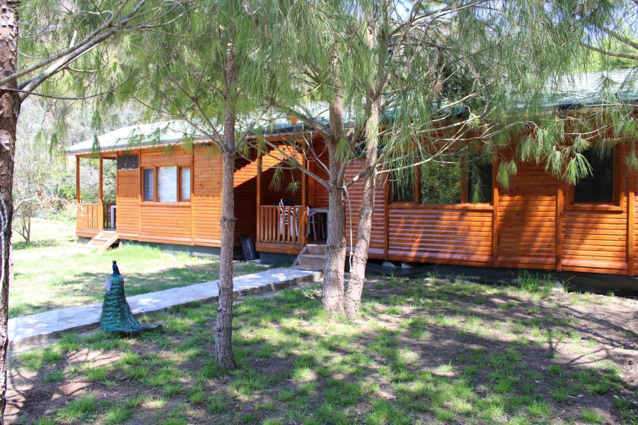 Çıralı Seker Bungalov 아파트 외부 사진