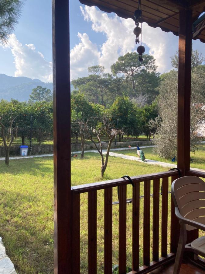 Çıralı Seker Bungalov 아파트 외부 사진